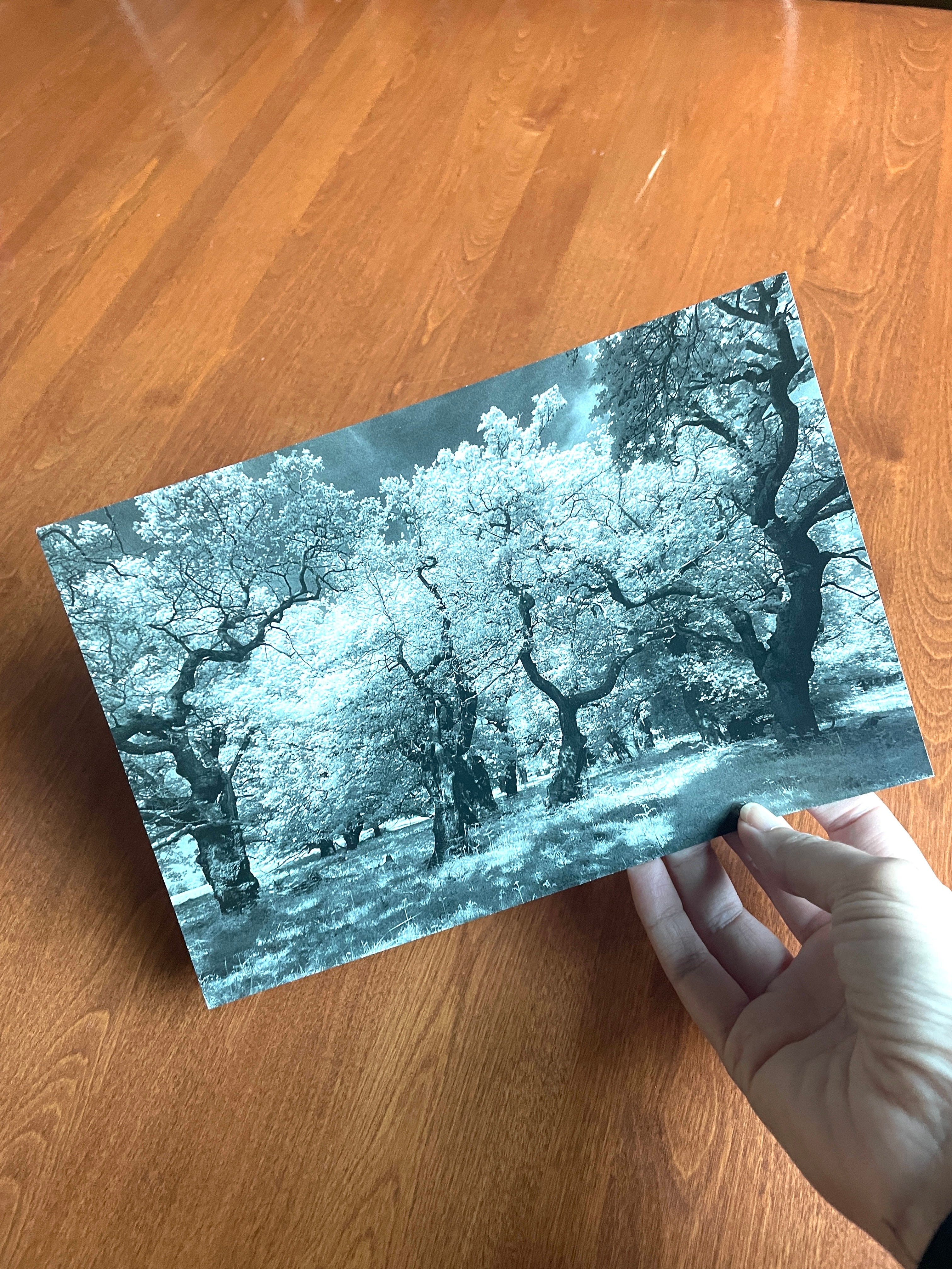 Zine photo