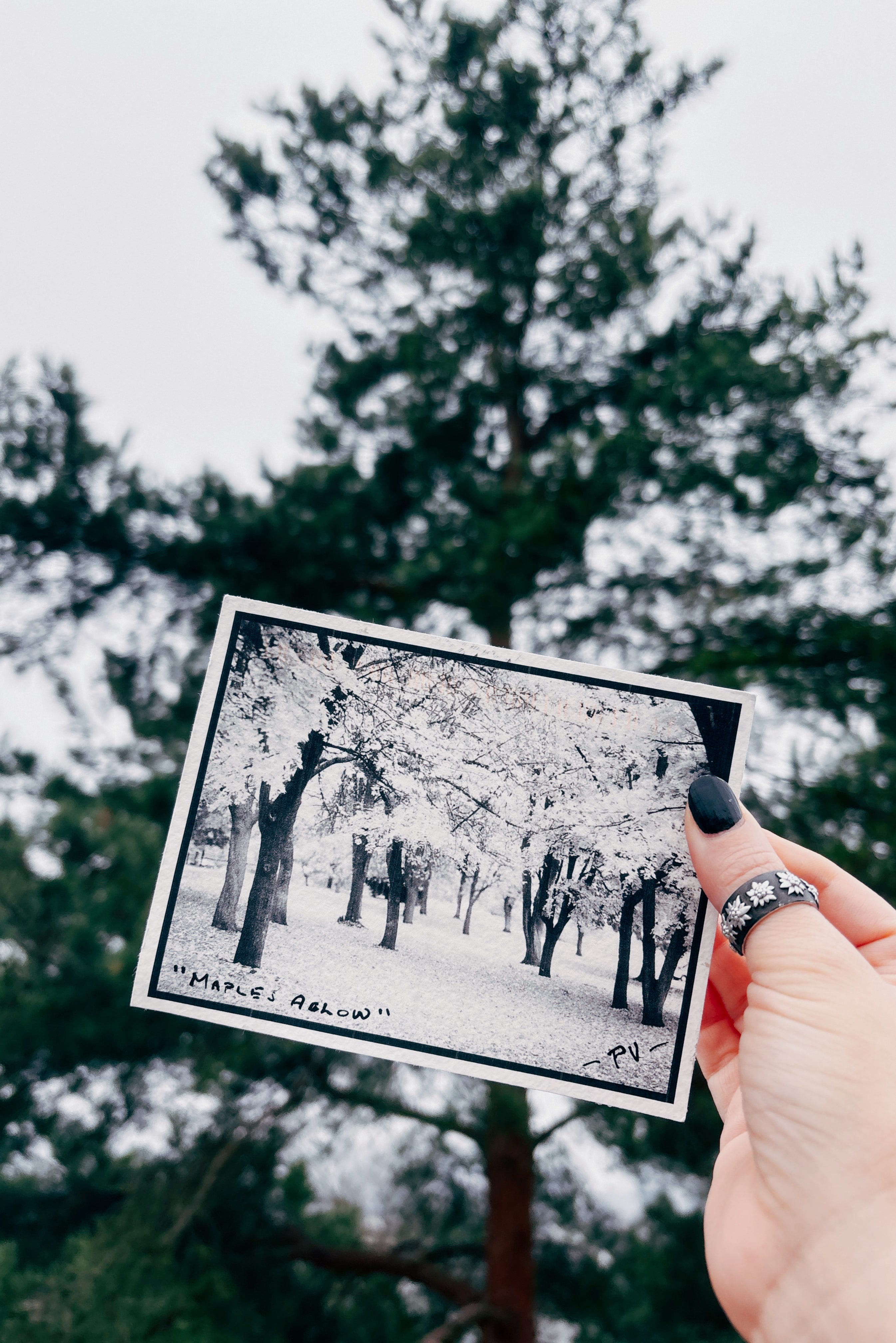 Zine photo