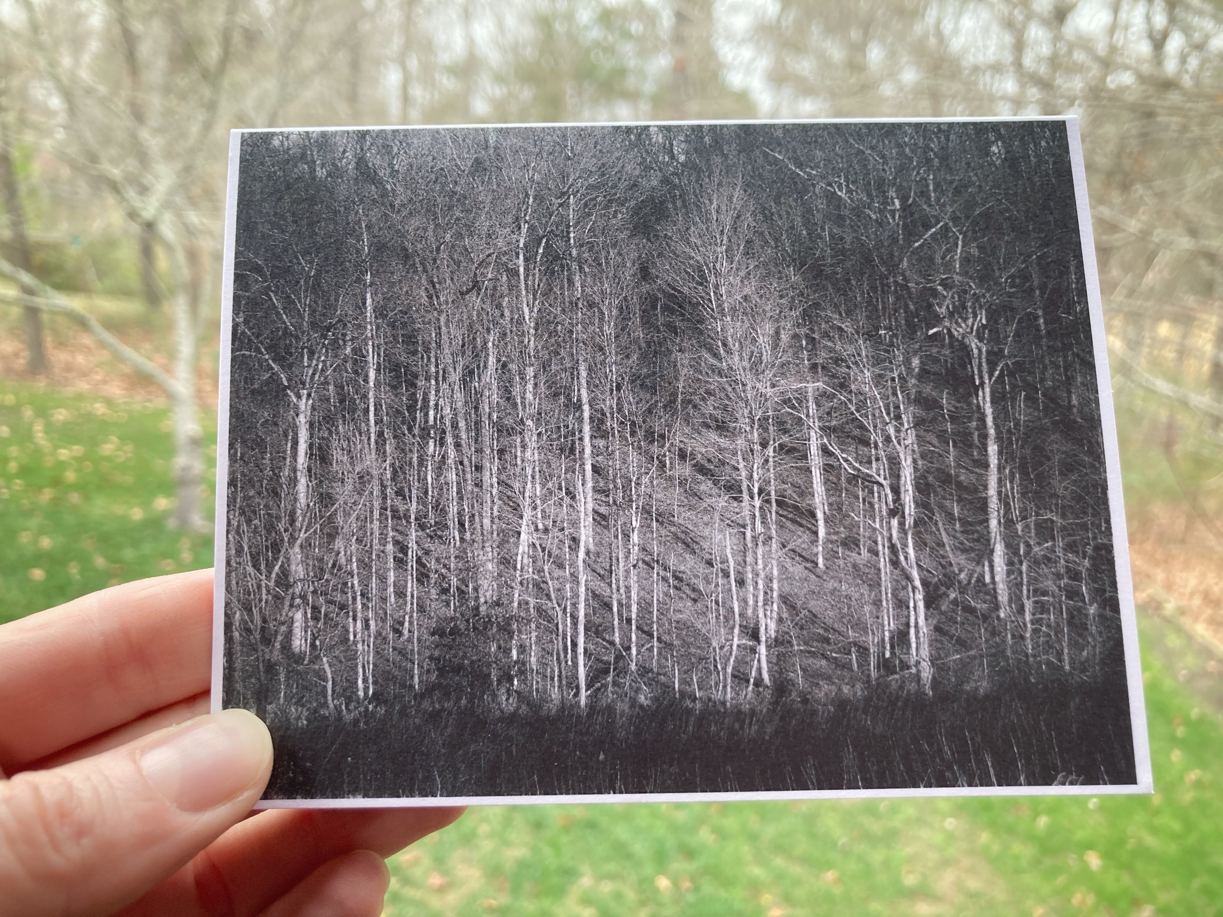 Zine photo