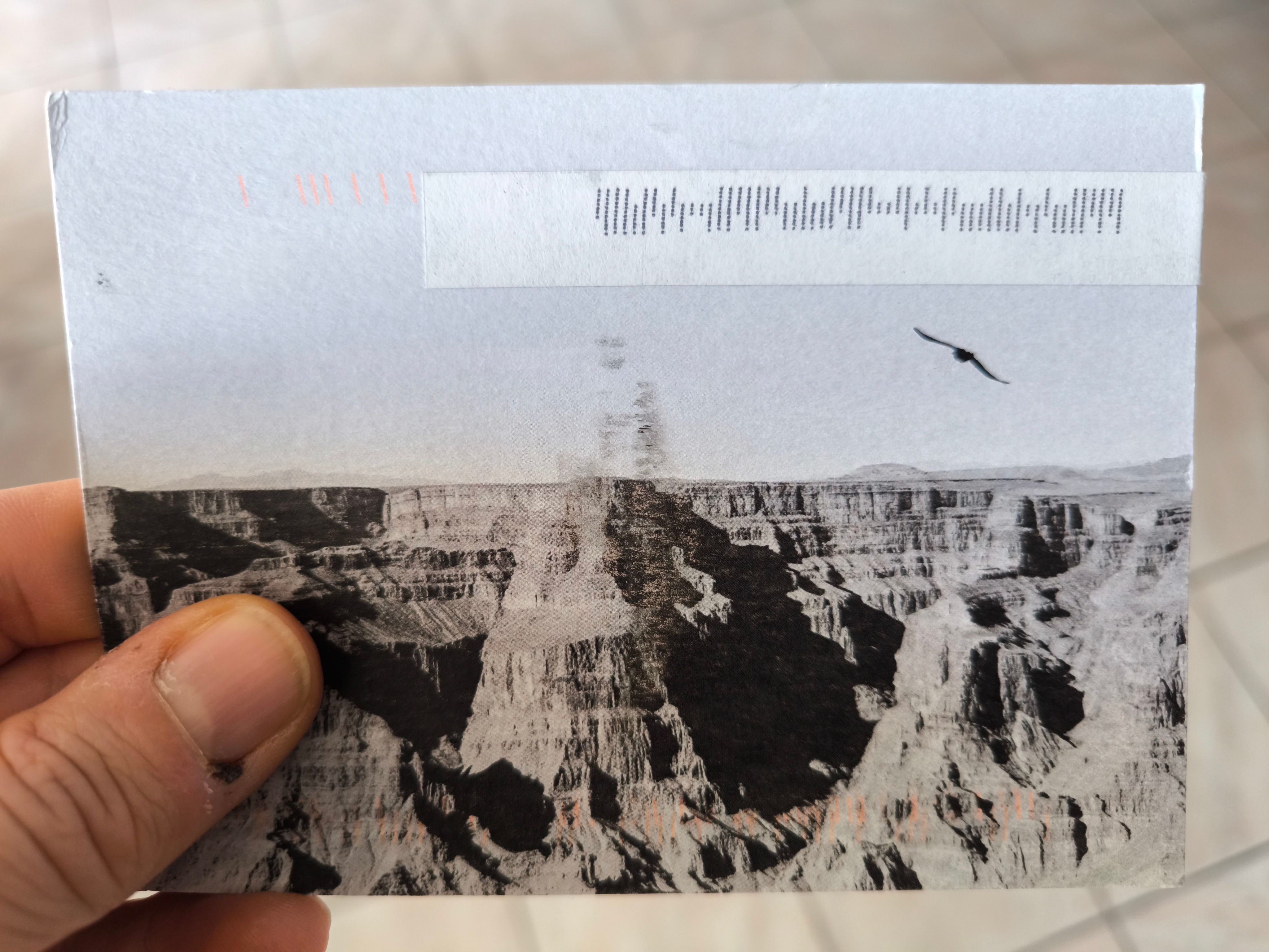 Zine photo
