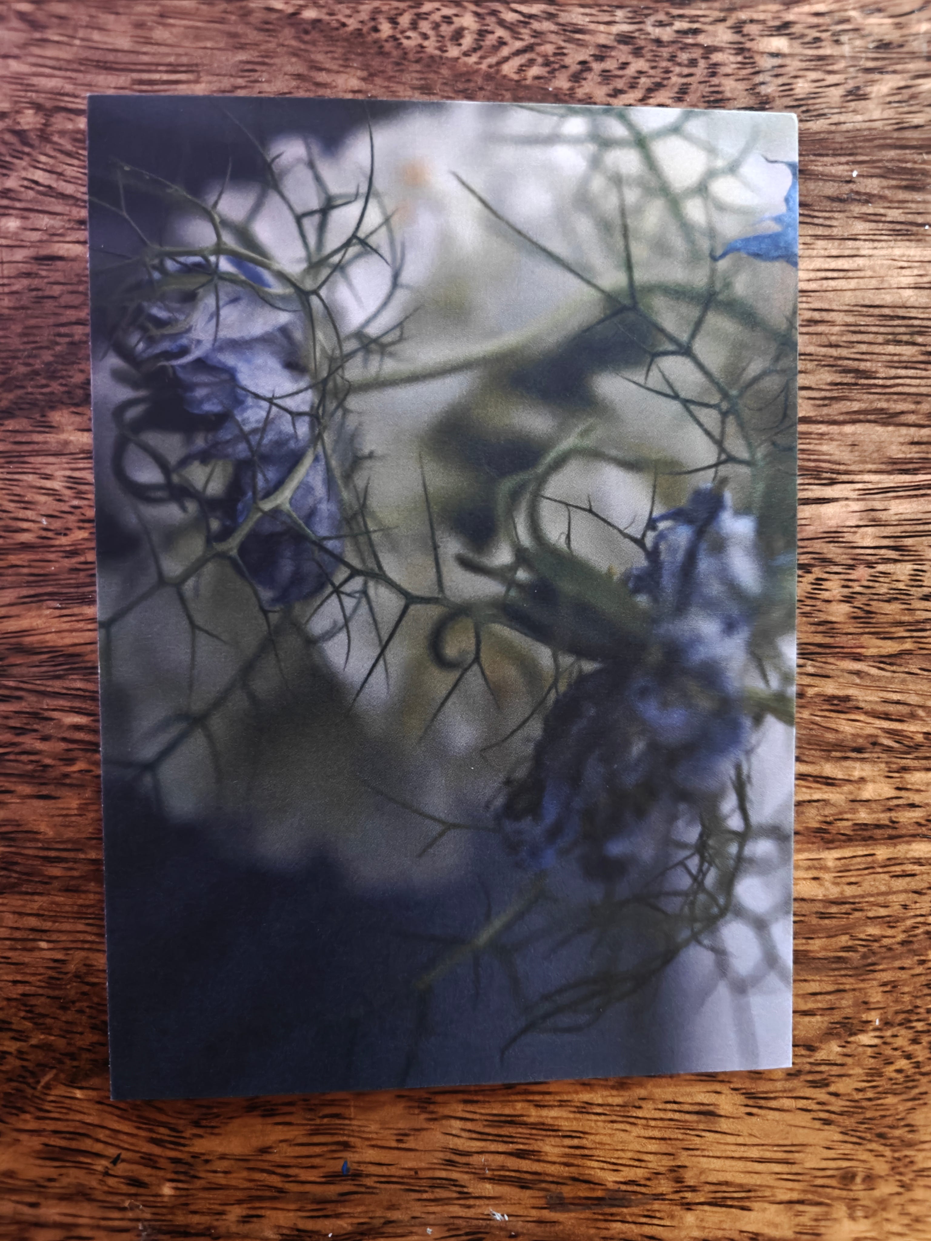 Zine photo