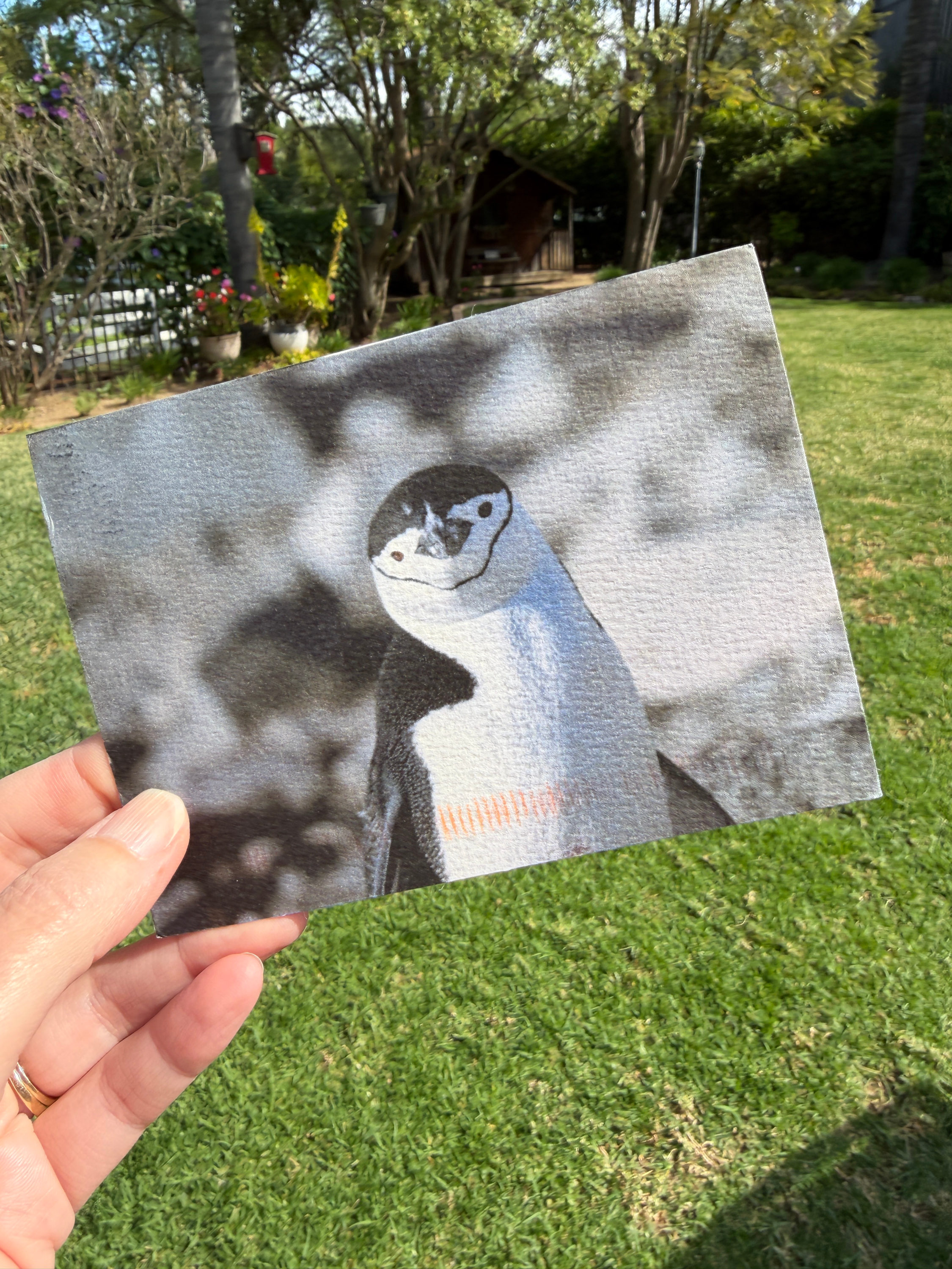 Zine photo