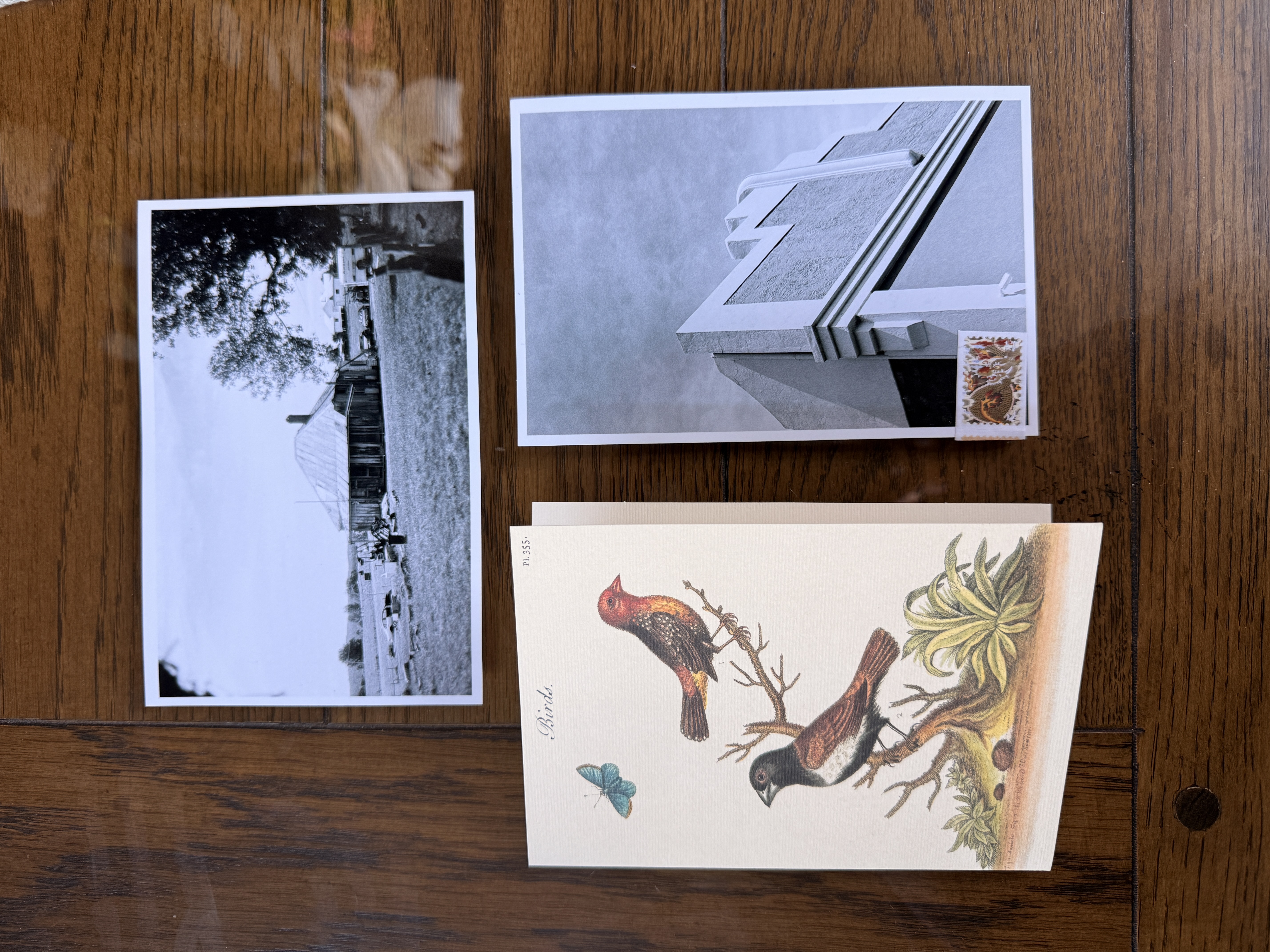 Zine photo
